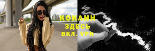 соль ск Арсеньев