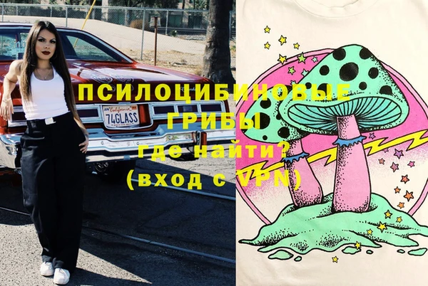 гидра Алексеевка