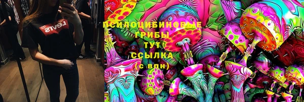 соль ск Армянск