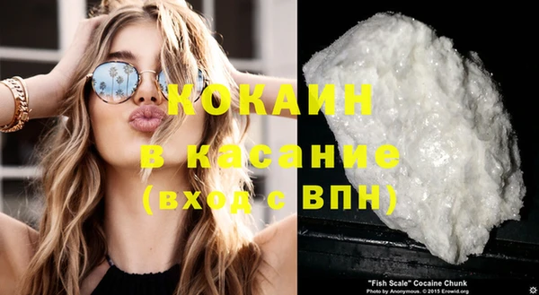 соль ск Арсеньев